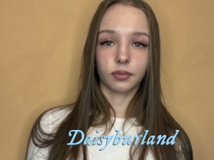 Daisyburland