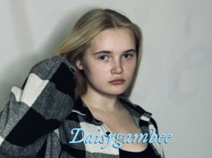 Daisygambee