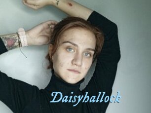 Daisyhallock