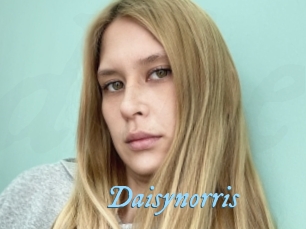 Daisynorris