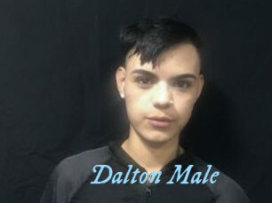 Dalton_Male