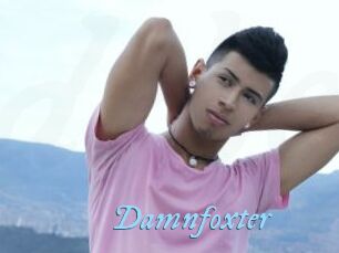 Damnfoxter