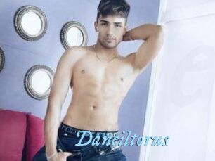 Daneil_torus