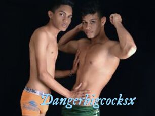 Dangerbigcocksx