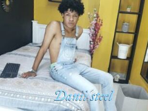 Danii_steel