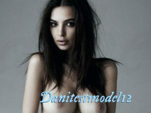 Danitestmodel12