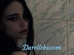 Darellebossom