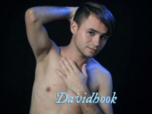 Davidhook