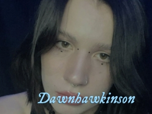 Dawnhawkinson
