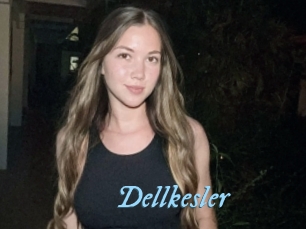 Dellkesler