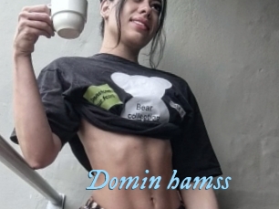 Domin_hamss