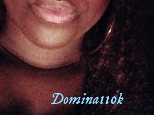 Domina110k