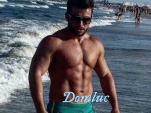 Domluc