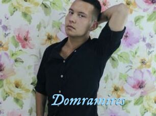 Domramires