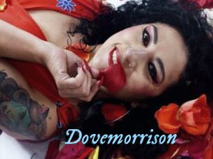 Dovemorrison