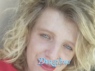 Dragibus