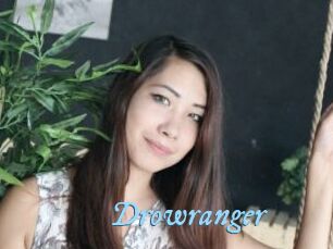 Drowranger