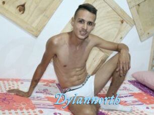 Dylan_north