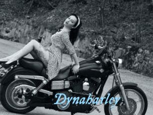 Dynaharley