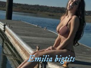 Emilia_bigtits