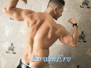 ErwinErv
