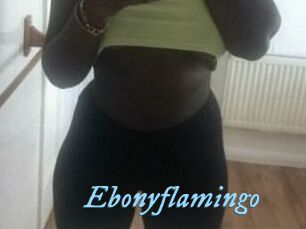 Ebony_flamingo