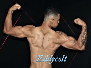 Eddycolt