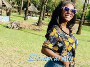 Elainecarsim