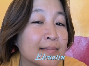 Elenatin