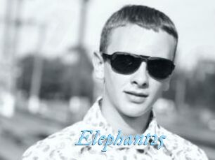 Elephant25