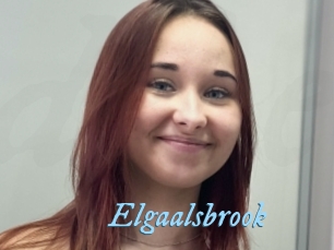 Elgaalsbrook