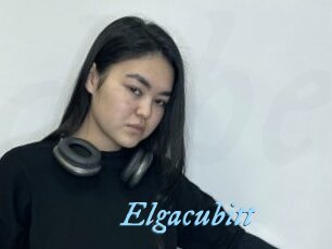 Elgacubitt