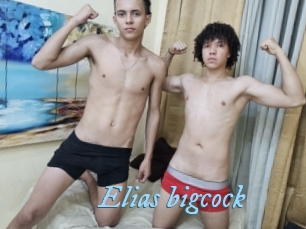 elias_bigcock DeriheruI