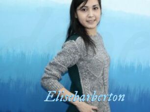 Elisebarberton