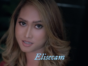 Elisecam