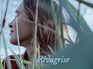 Elvagrise