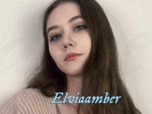 Elviaamber