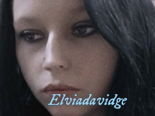 Elviadavidge