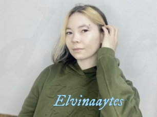 Elvinaaytes