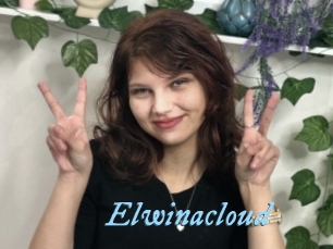 Elwinacloud