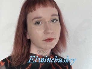 Elwinebuskey