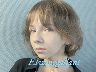 Elwinegallant