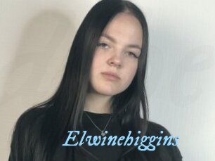 Elwinehiggins