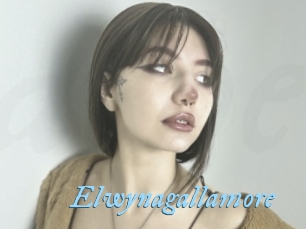 Elwynagallamore