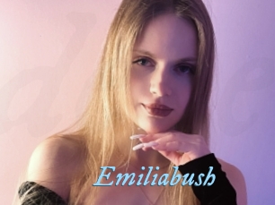 Emiliabush