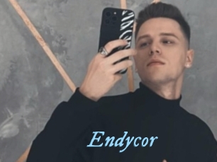 Endycor