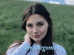 Erlenegomer