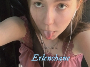 Erlenehane