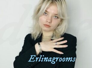 Erlinagrooms