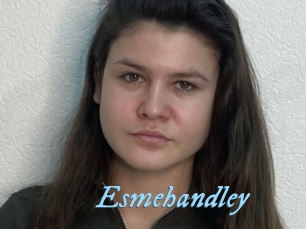 Esmehandley